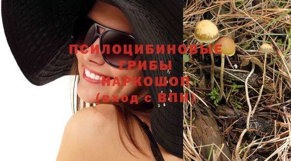 хмурый Балабаново