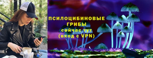 хмурый Балабаново