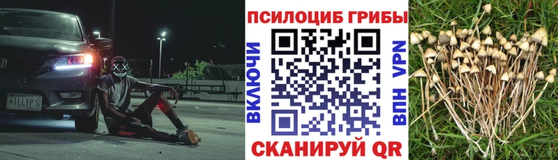 Галлюциногенные грибы прущие грибы Югорск